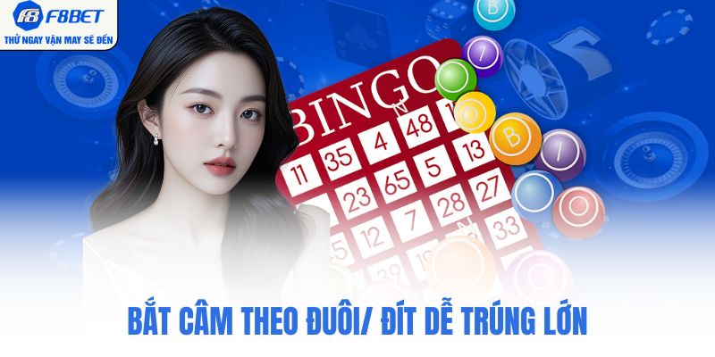 Bắt câm theo đuôi/ đít dễ trúng lớn