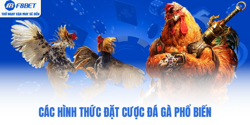 Các hình thức đặt cược đá gà phổ biến