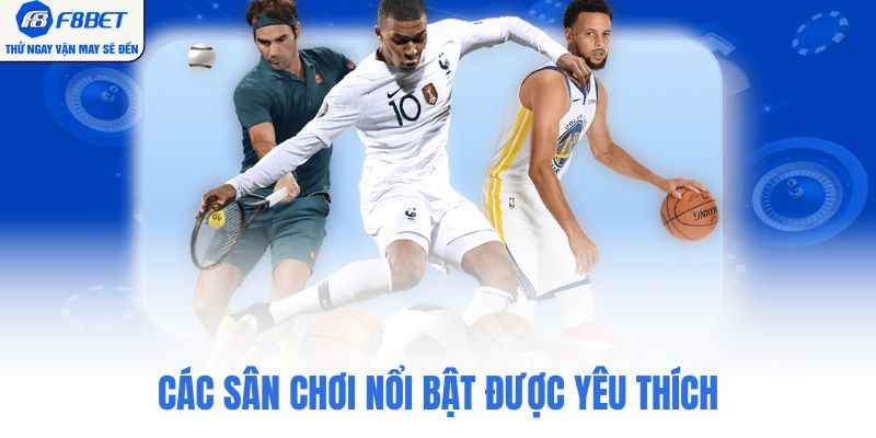Các sân chơi nổi bật được yêu thích