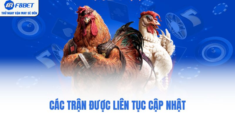 Các trận được liên tục cập nhật