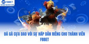 Đá Gà Cựa Dao Với Sự Hấp Dẫn Riêng Cho Thành Viên F8BET