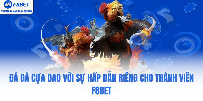 Đá Gà Cựa Dao Với Sự Hấp Dẫn Riêng Cho Thành Viên F8BET