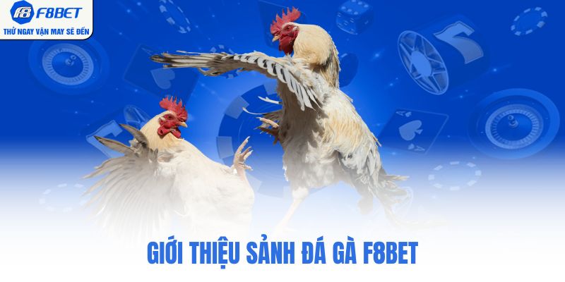 Giới thiệu sảnh đá gà F8BET
