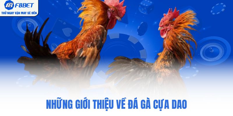 Những giới thiệu về đá gà cựa dao