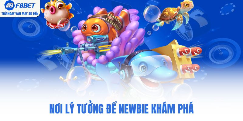 Nơi lý tưởng để newbie khám phá